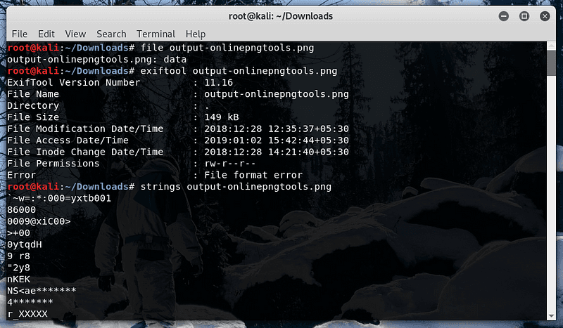 CyberTeam India Internship CTF